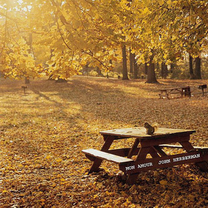 高质量新一代小豚导航
