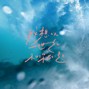 高质量新一代小豚导航
