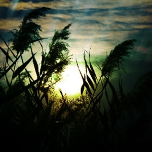 叶玉卿露双奶头未删减
