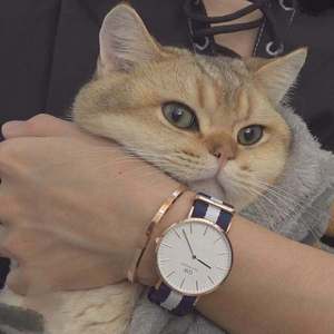 污视频网站浏览
