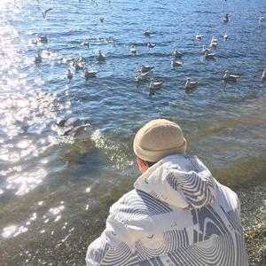 高质量新一代小豚导航
