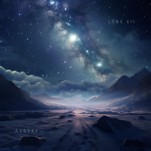 高质量新一代小豚导航
